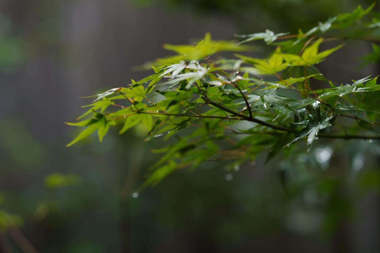 滔々 御崎 町家の宿 Toutou Onzaki Machiya No Yado Kurashiki Dış mekan fotoğraf